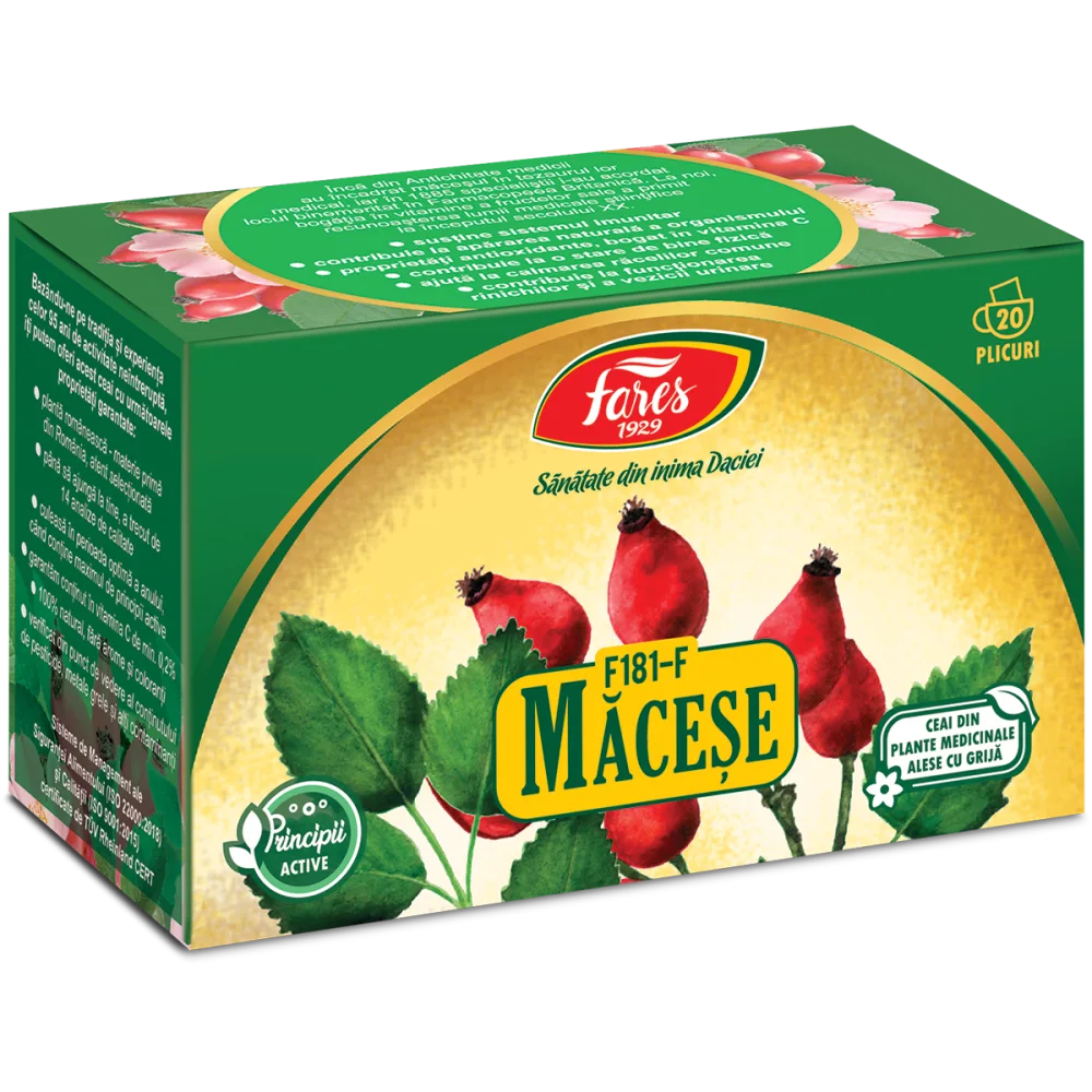 macese-fructe-2 Măceșe, F181, ceai la plic - imagine 1