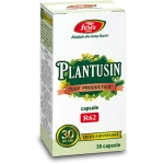 Plantusin tuse productivă, R62, 30 capsule