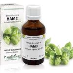Extract din conuri de Hamei - Humulus Lupulus MG=D1, 50 ml