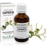 Extract din mlădiţe de Caprifoi negru - Lonicera nigra MG=D1, 50 ml