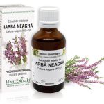 Extract din mlădiţe de Iarbă neagră - Calluna vulgaris MG=D1, 50 ml