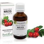 Extract din mlădiţe de Măceș - Rosa canina, 50 ml