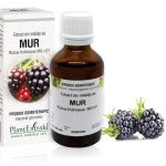 Extract din mlădiţe de Mur - Rubus fructicosus MG=D1, 50 ml