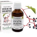 Extract din mlădiţe de Viță de vie sălbatică - Ampelopsis weitchii MG=D1, 50 ml