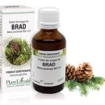 Extract din muguri de Brad - Abies pectinata, 50 ml