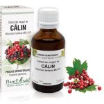 Extract din muguri de Călin - Viburnum lantana MG=D1, 50 ml