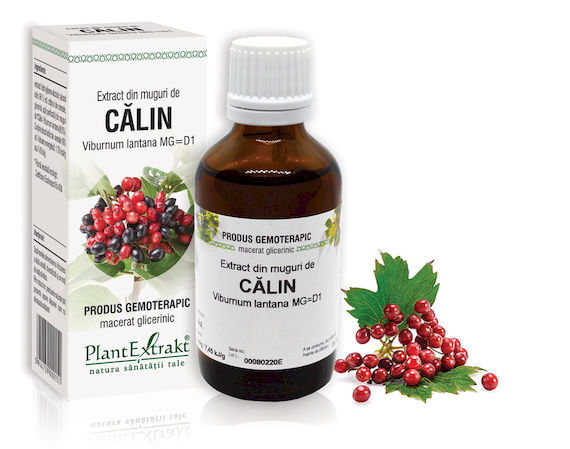 muguri-calin Extract din muguri de Călin - Viburnum lantana MG=D1, 50 ml - imagine 1