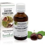 Extract din muguri de Castan comestibil - Castanea vesca MG=D1, 50 ml