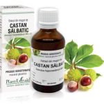 Extract din muguri de Castan sălbatic - Aesculus hippocastanum MG=D1, 50 ml