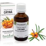 Extract din muguri de Cătină albă - Hippophae rhamnoides MG=D1, 50 ml