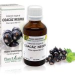 Extract din muguri de Coacăz negru - Ribes nigrum, 50 ml