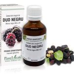 Extract din muguri de Dud negru - Morus nigra MG=D1, 50 ml