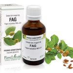 Extract din muguri de Fag - Fagus sylvatica MG=D1, 50 ml