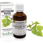 Extract din muguri de Mesteacăn pufos - Betula pubescens, 50 ml