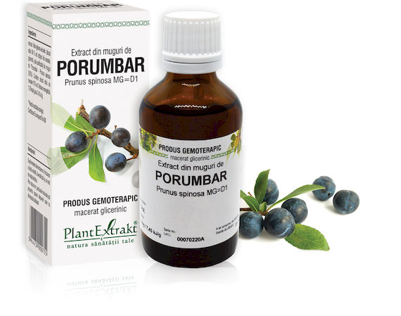muguri-porumbar Extract din muguri de Porumbar - Prunus spinosa MG=D1, 50 ml - imagine 1
