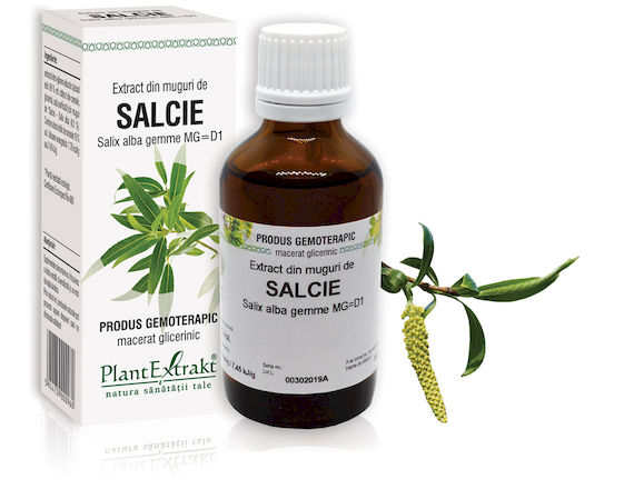 muguri-salcie Extract din muguri de Salcie - Salix alba gemme MG=D1, 50 ml - imagine 1