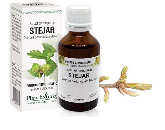 muguri-stejar Extract din muguri de Stejar - Quercus pedunculata MG=D1, 50 ml - imagine 1