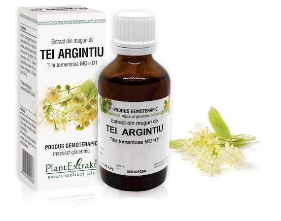muguri-tei-argintiu Extract din muguri de Tei argintiu - Tilia tomentosa, 50 ml - imagine 1
