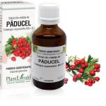 Extract din mlădiţe de Păducel - Crataegus oxyacantha MG=D1, 50 ml