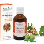 Polygemma 15 - Intestin detoxifiere, 50 ml