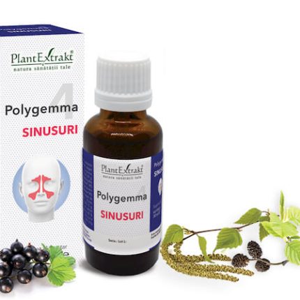 Polygemma 4 - Sinusuri, 30 ml