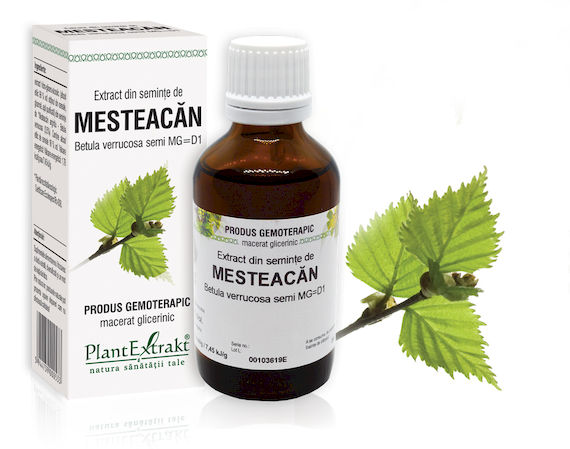seminte-mesteacan Extract din seminţe de Mesteacăn - Betula verrucosa semi MG=D1, 50 ml - imagine 1