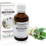 Extract din sevă de Mesteacăn - Betula linfa MG=D1, 50 ml