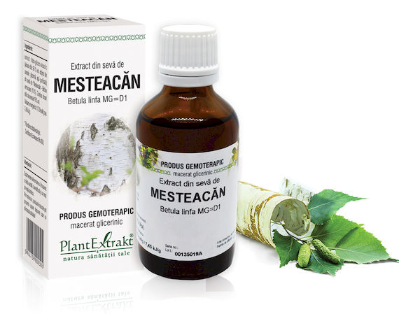 seva-mesteacan Extract din sevă de Mesteacăn - Betula linfa MG=D1, 50 ml - imagine 1