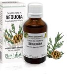 Extract din mlădiţe de Sequoia - Sequoia gigantea MG=D1, 50 ml