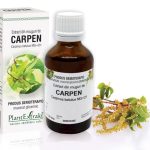 Extract din muguri de Carpen - Carpinus betulus MG=D1, 50 ml