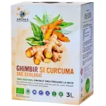 Suc de Ghimbir si Curcuma Ecologic/Bio 3L ARONIA